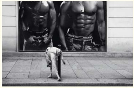 Antonín Malý - Czech Pes Photo