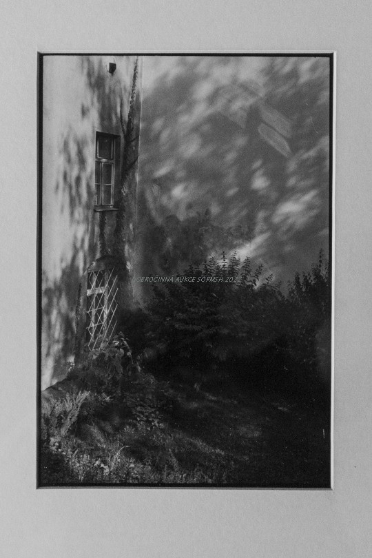 Stanislav Tůma, Pivnice U hrocha