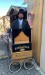 IMG-20250302-WA0000_